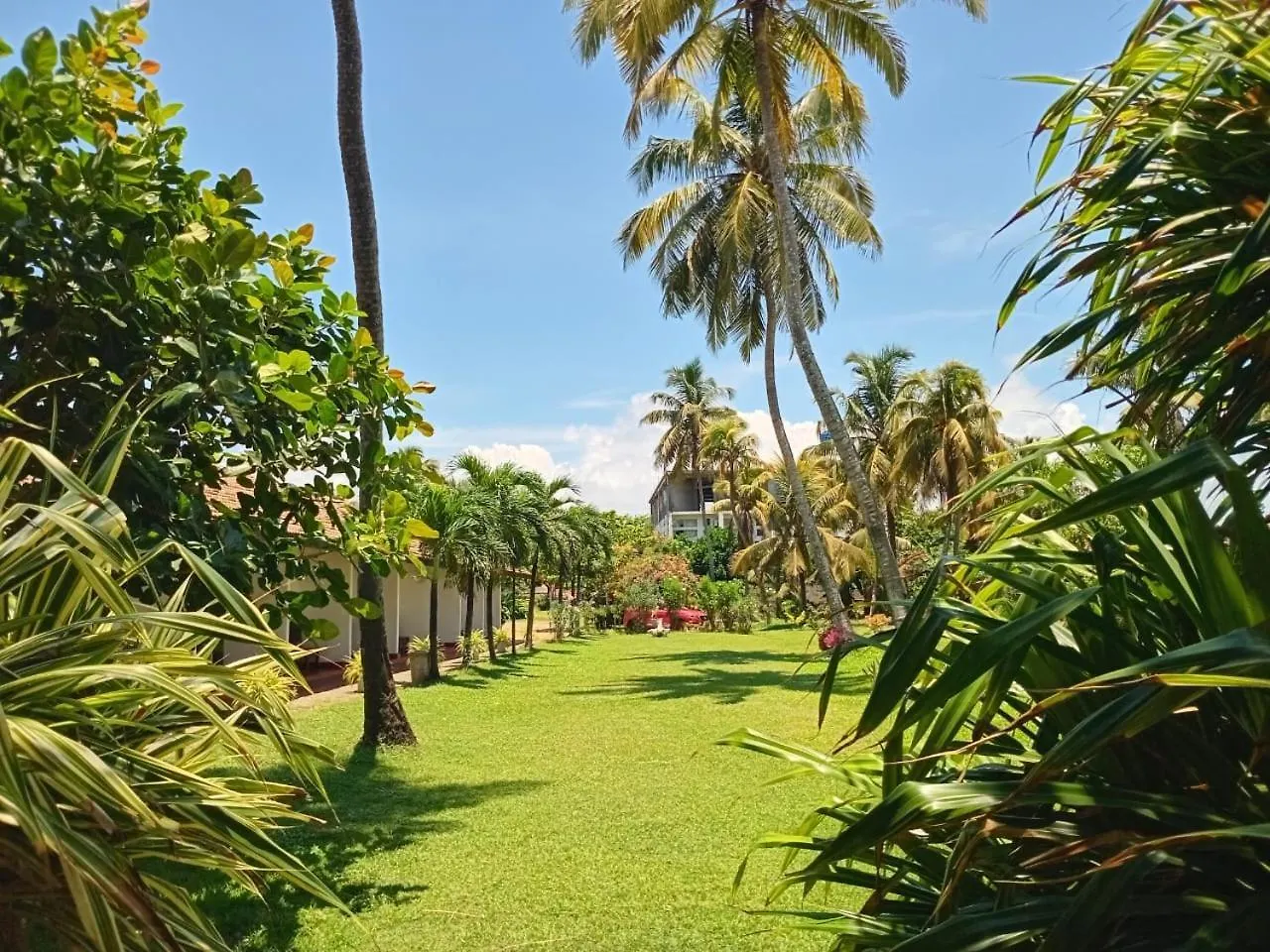 Ceylonica Beach Hotel Negombo