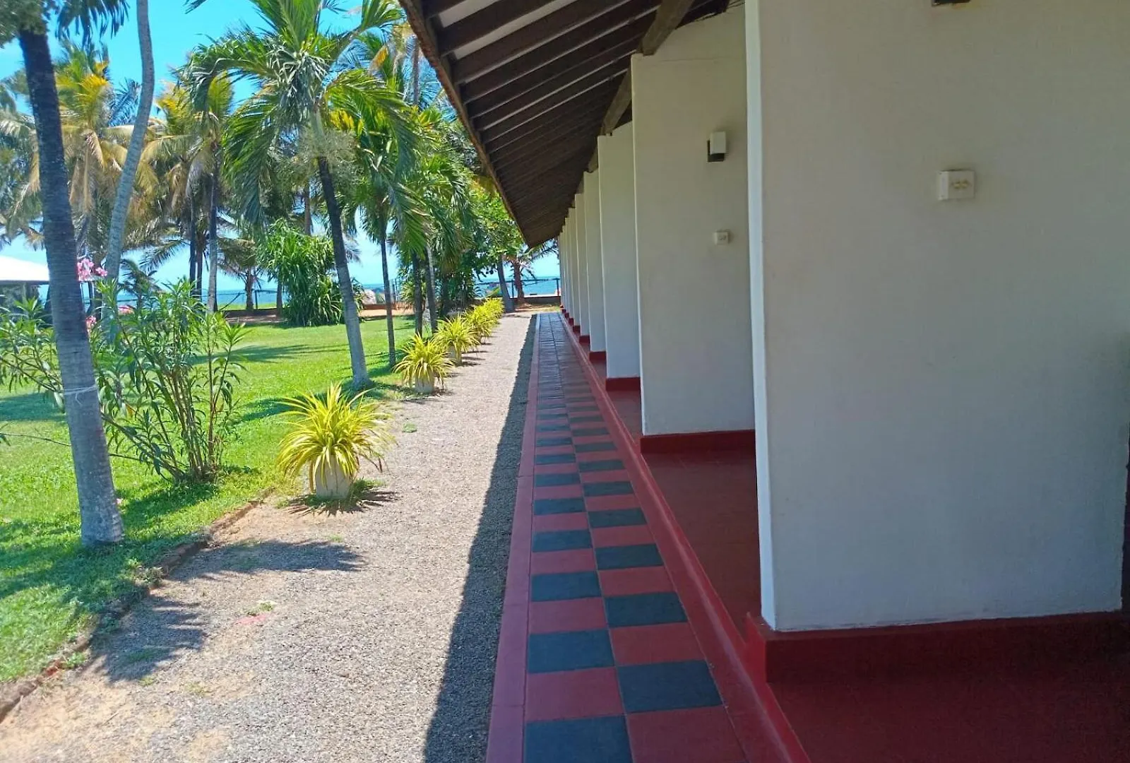 Ceylonica Beach Hotel Negombo Bed & Breakfast