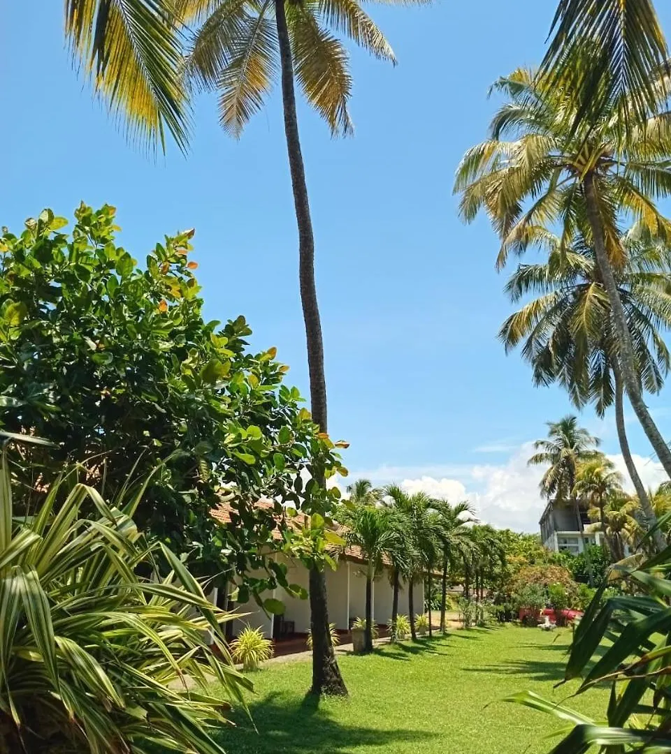 ** Oda ve Kahvaltı Ceylonica Beach Hotel Negombo Sri Lanka
